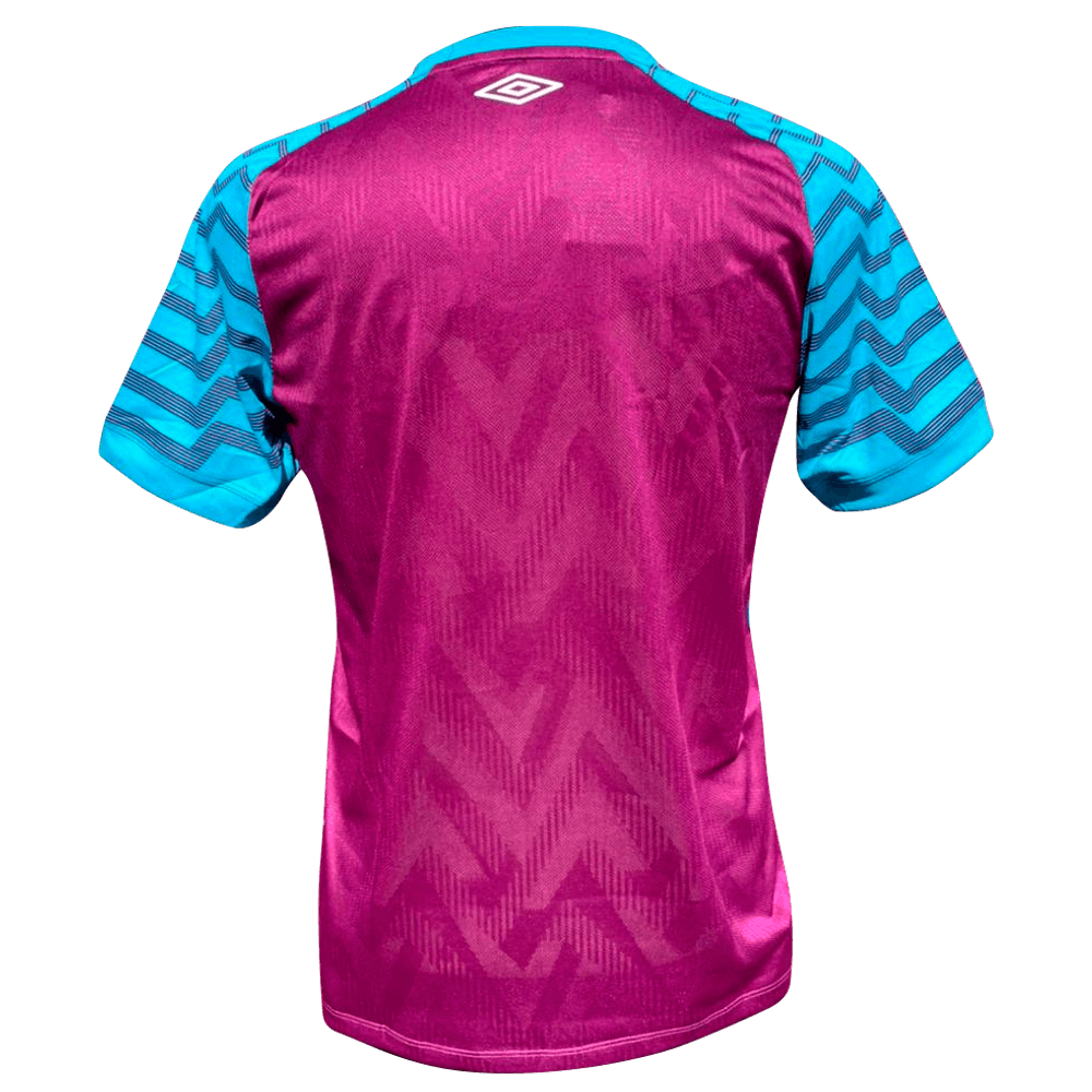 Camisa Fluminense Masculina Goleiro Roxo/Azul 2021 - Loja ...