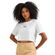 cropped-cenario-1